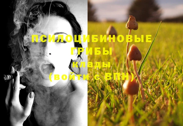 spice Богданович