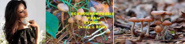 альфа пвп VHQ Богородицк