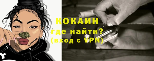 spice Богданович