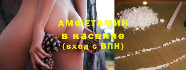 spice Богданович
