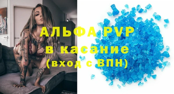 spice Богданович