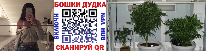 цены   Острогожск  Бошки Шишки сатива 